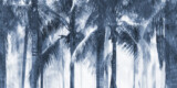 FW4054 2