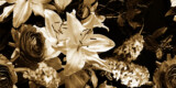 FW4065 2