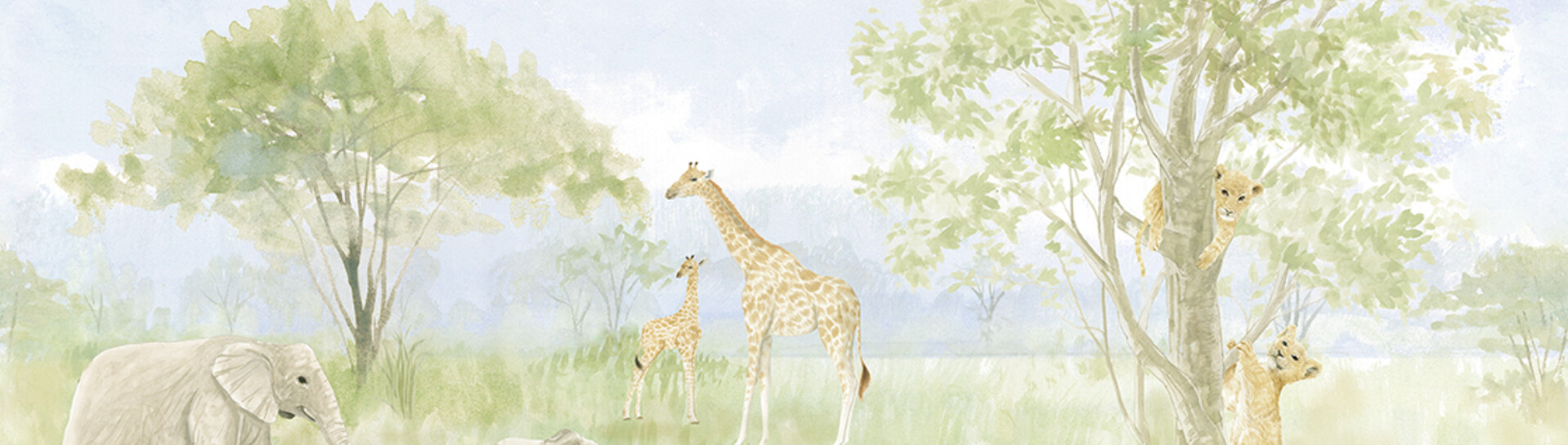 CW6113 2